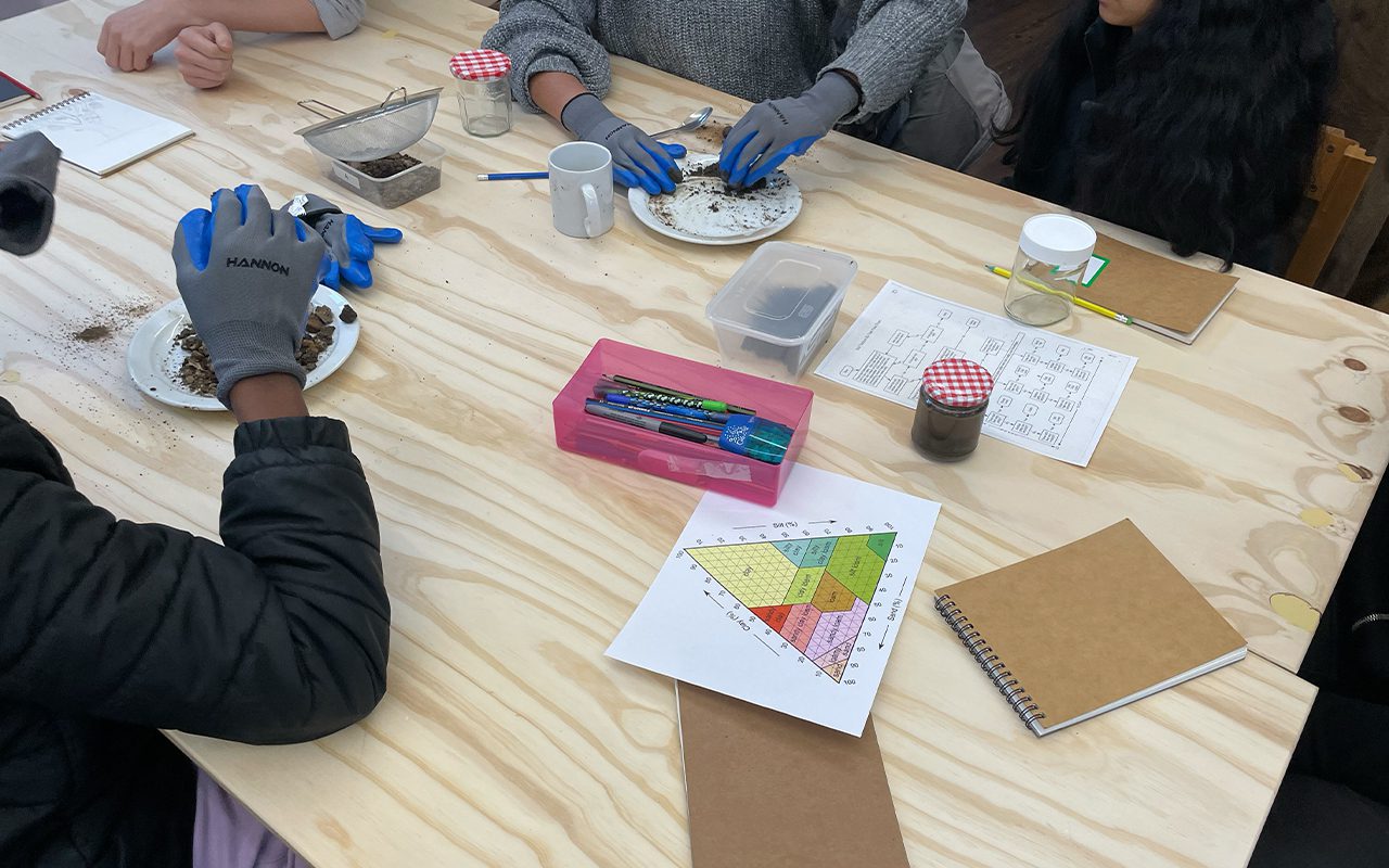 Understanding-the-site-1